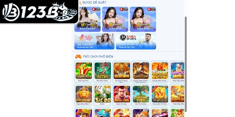 Tốc độ và ổn định của website