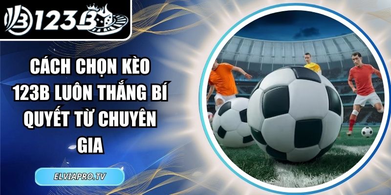 Cách Chọn Kèo 123B Luôn Thắng Bí Quyết Từ Chuyên Gia 