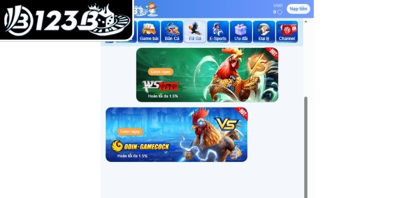 Đôi nét về đá gà 123B